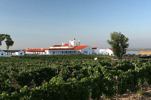 As maravilhosas vinícolas do Alentejo que também são hotéis