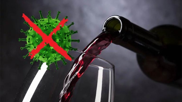 Estudo: Vinho protege do Coronavírus, já a cerveja aumenta riscos!