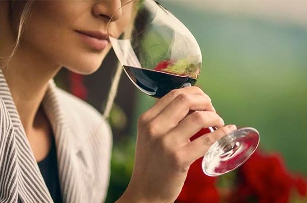 Cheirar vinho previne Alzheimer e Parkinson, segundo estudo