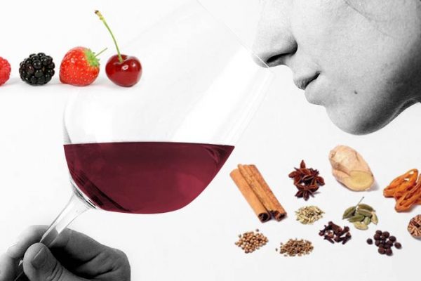 Os aromas característicos de cada tipo de uva no vinho