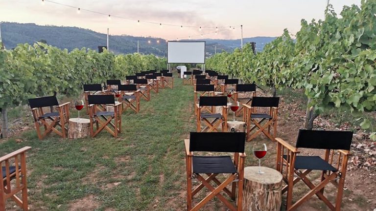 Cinema e Vinho: Região dos Vinhos Verdes exibe filmes ao ar livre no meio de vinícolas