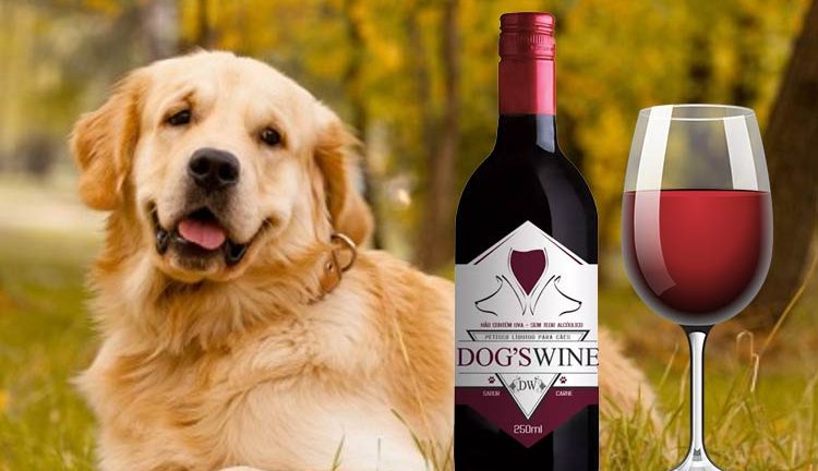 Dog’s Wine, um vinho bom pra cachorro!