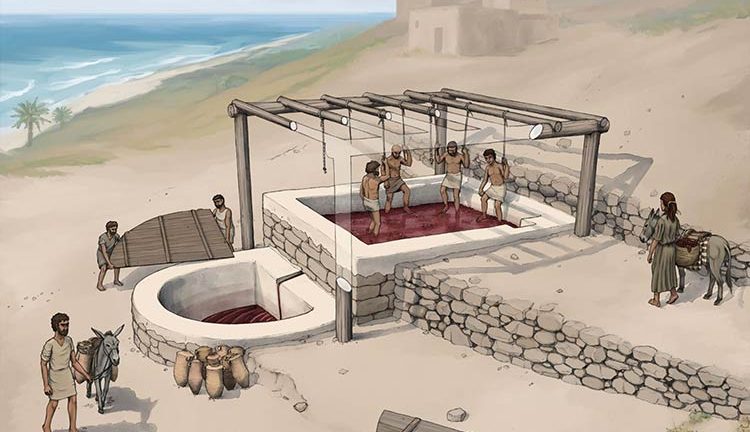 Arqueólogos encontram fábrica de vinho dos fenícios de 2.600 anos