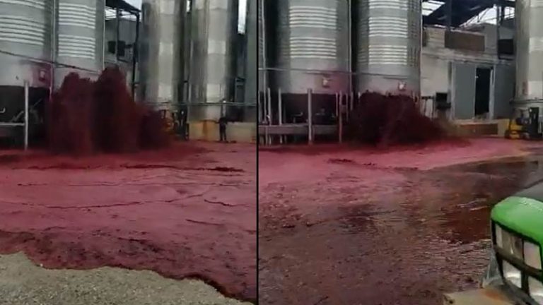 Tanque de vinho de 50 mil litros explode e gera um ‘Mar de Vinho’ na Espanha