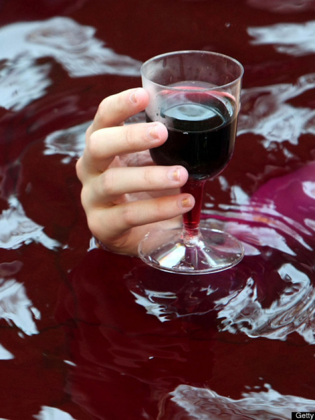TERAPIA DO VINHO PARA A PELE