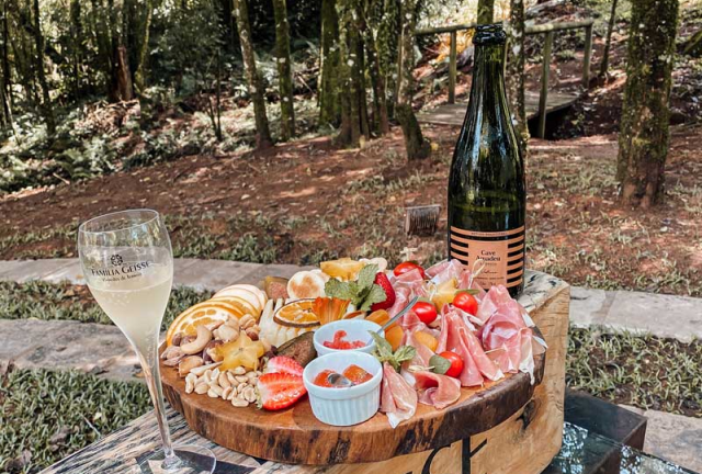 ROTA DOS VINHOS DA SERRA GAÚCHA