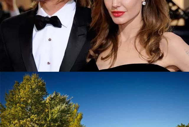 Celebridades que têm sua própria vinícola