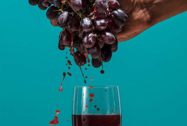 Vinho Natural: Vale a pena conhecer!