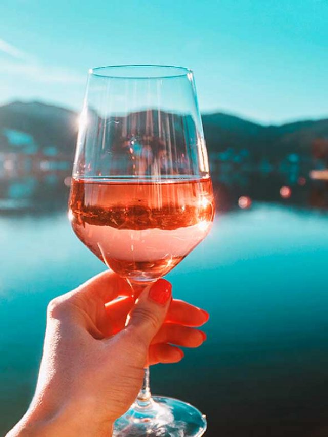 DESTINOS PRA QUEM É APAIXONADO POR VINHOS