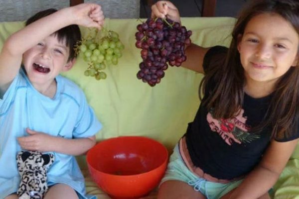 Pais apaixonados por vinho dão nomes de uvas aos filhos