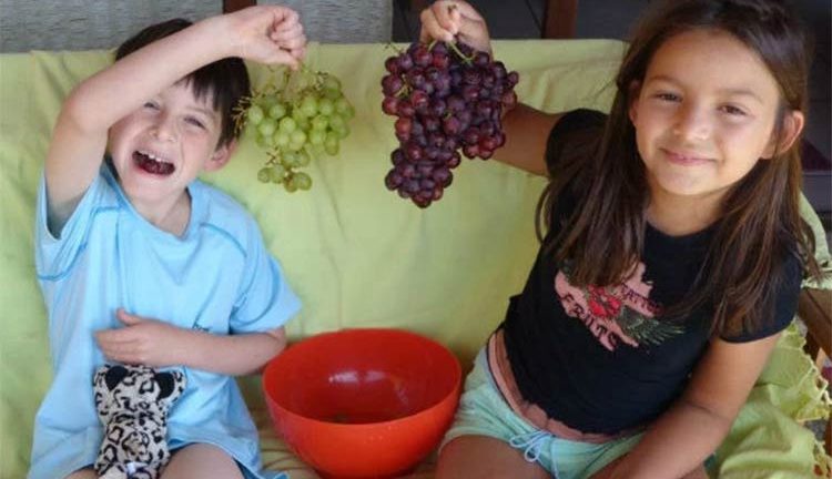 Pais apaixonados por vinho dão nomes de uvas aos filhos