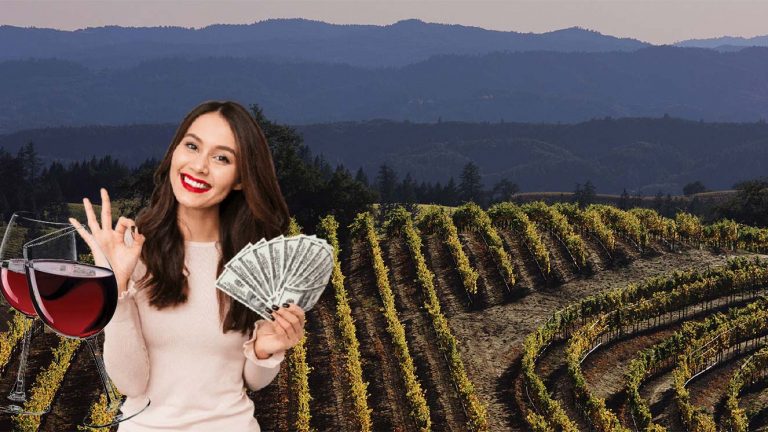 Vinícola californiana pagará US$120 mil para alguém viver e aprender tudo na região do vinho