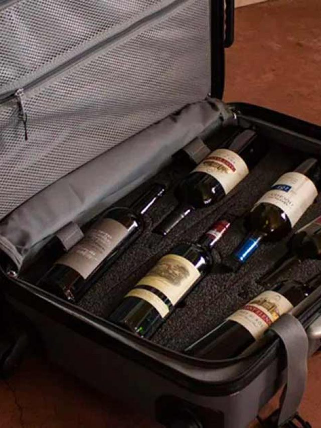 ECONOMIZE AO TRAZER VINHOS DA ARGENTINA