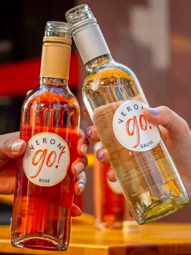 CONHEÇA O VINHO EM LONG NECK