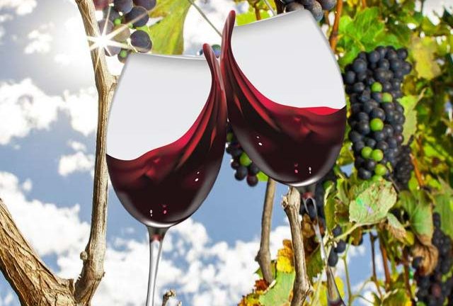 Indicação Geográfica de Vinhos Tropicais