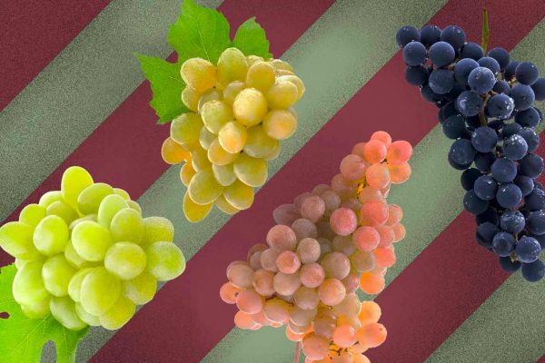 Conheça os blends de uvas mais famosos do mundo