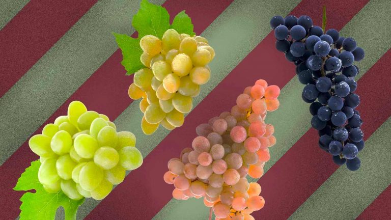 blends de uvas mais famosos do mundo