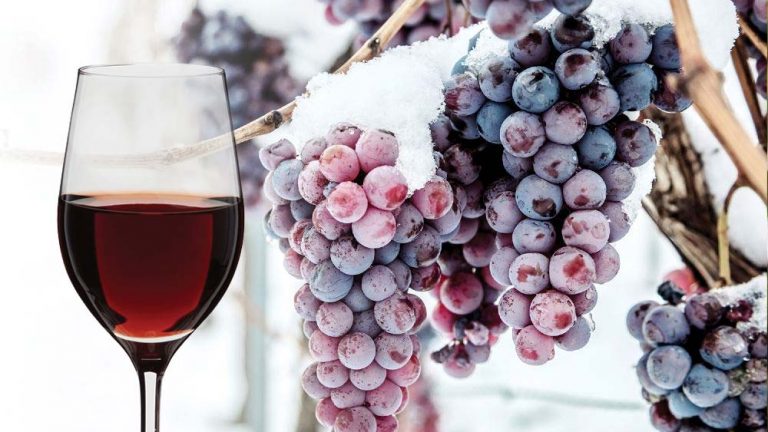ICE WINE: O vinho feito de uvas congeladas!