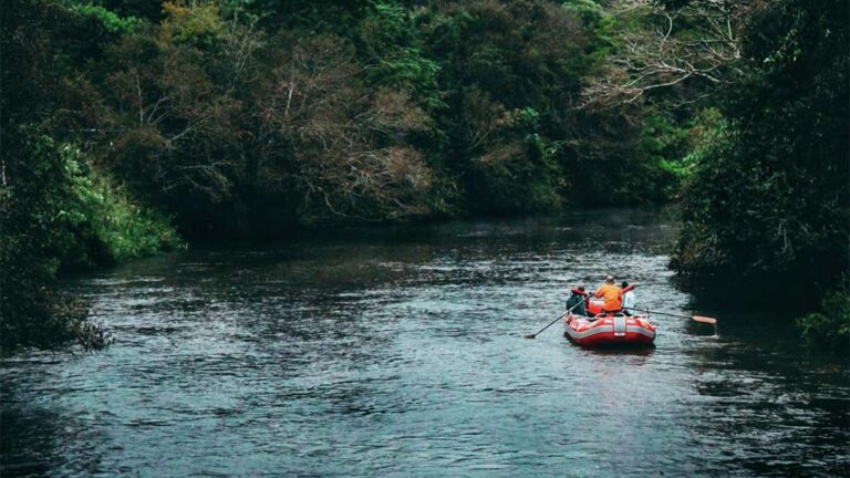 Explorando Aventuras Brasileiras: Da Amazônia aos Pontos Culturais